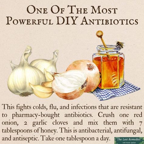 Diy Antibiotics, 1000 Lifehacks, Natural Antibiotic, Herbal Medicine Recipes, Herbal Remedies Recipes, Medical Herbs, Sick Remedies, Backyard Plants, Natural Healing Remedies