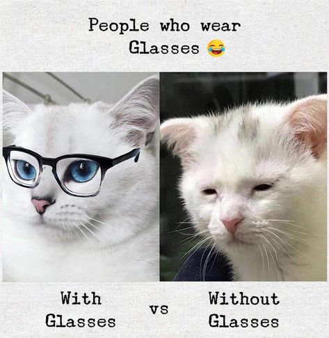 The story of specs Sarcastic Friendship Quotes, Glasses Meme, People With Glasses, Funny Glasses, Sarcasm Quotes, Funny Quotes Sarcasm, Friendship Quotes Funny, Jokes In Hindi, Silly Jokes