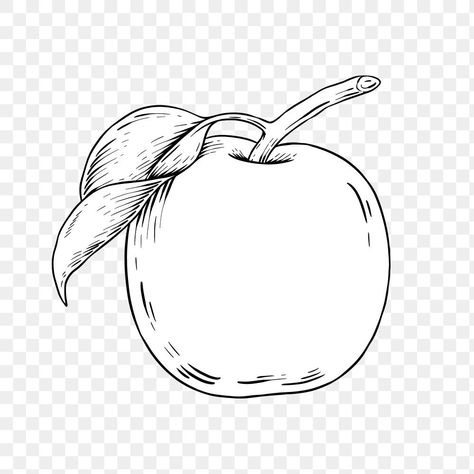 Apple outline sticker overlay design element  | free image by rawpixel.com / Noon Apple Outline Tattoo, Apple Outline, Sticker Overlay, Apple Tattoo, Apple Stickers, Black Apple, Body Mods, Free Illustrations, Free Image