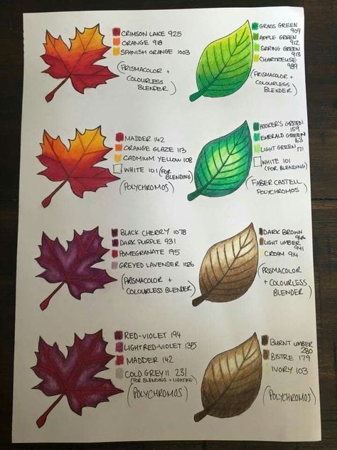 Pencil Color Tutorial, Prismacolor Leaf Color Combinations, Color Pencil Tutorial, Blending Colored Pencils, Colored Pencil Tutorial, Drawing Color, Coloring Tips, Colour Pencil, Colored Pencil Techniques