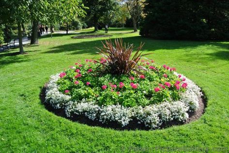 Circular Flower Bed, Flower Garden Pictures, Perennial Garden Design, Small Flower Gardens, Small Front Yard Landscaping, Flower Bed Ideas, Front Yard Garden Design, Flower Garden Design, Round Flower