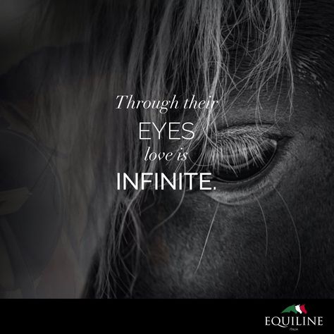 Through their eyes love is infinite. #‎welovehorses‬ Horse Love Quotes, Horses Quotes, Trail Riding Horses, Horse Quotes Funny, Inspirational Horse Quotes, Horse Riding Quotes, Equestrian Quotes, Cowboy Quotes, Cowgirl Quotes