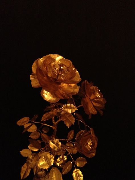 Golden Roses Aesthetic, Golden Rose Aesthetic, Golden Flowers Aesthetic, Dark Golden Aesthetic, Dark Gold Aesthetic, Jewelry Photography Tutorial, Dull Blue, Old Hollywood Theme, Golden Aesthetic