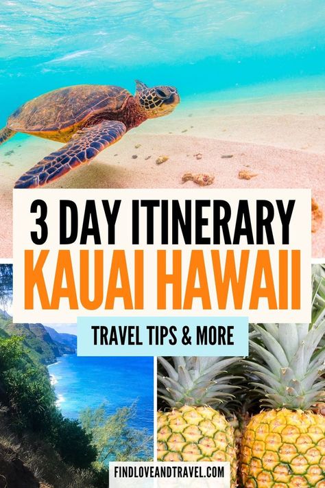 Planning a trip to Kauai, Hawaii? This travel itinerary covers the best things to do in Kauai. Explore the Napali coast, Waimea Canyon, see waterfalls and more! | Kauai travel | Hawaii travel | Kauai Hawaii things to do | | Kauai Hawaii beaches | Hawaii beachs | Kauai Hikes | travel fun | summer bucket list | USA Travel | beach vacation destinations | top things to do in Kauai | things to do in hawaii | beautiful destinations Kauai Hikes, Kauai Waterfalls, Kauai Itinerary, Watching Sunrise, Things To Do In Kauai, Hawaii Trip Planning, Maui Itinerary, Hawaii Itinerary, Kauai Travel