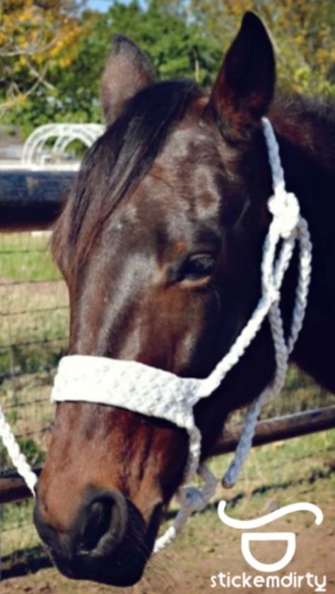 How To Braid Mule Tape Halter, Mule Tape Halter Instructions, Horse Halters Diy, Diy Horse Halter, Horse Crafts Diy, Mule Tape Halter, Diy Halter, Horse Tack Diy, Bronc Halter