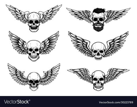 Skull Wings Tattoo, Drawing Skeleton, Ab Tattoo, White Background Design, Skull Wings, Skeleton Png, Winged Skull, Wing Tattoo, Wings Tattoo