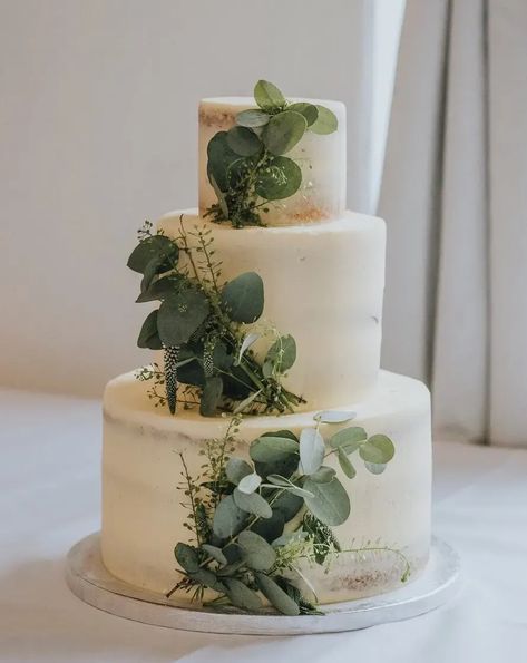 Weddings with Luminary – Luminary Bakery Eucalyptus Cake Wedding, Simple White And Green Wedding Cake, Simple Green Wedding Cake, Sage Wedding Cake Ideas, Green Floral Wedding Cake, Sage Cakes, Wedding Cake Sage Green, Boho Wedding Cake Ideas, Sage Wedding Cake