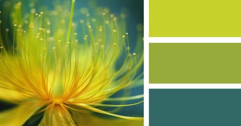 Lemon Lime Color Palette, Lime Colour Palette, Lime Color Palette, Electric Color Palette, Lime Palette, Color Schemes Colour Palettes, Design Seeds, Color Palette Design, Color Harmony