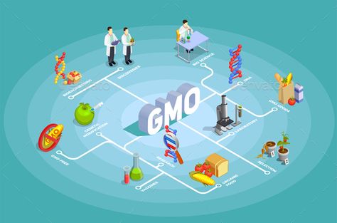 Genetically modified organisms isometric flowchart on turquoise background with dna, research, organic food, gmo goods vector illu Gmo Food Illustration, Food Engineering, Interactive Poster, Synthetic Biology, Origami Shirt, Genetically Modified Organisms, Genetically Modified Food, Coca Cola Ad, Gmo Foods