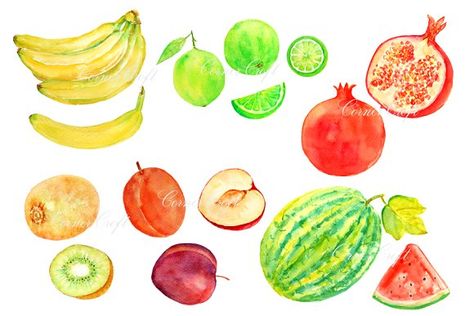 Watercolor Fruit Clipart Set 2 Graphics Hand painted watercolor clipart fruit of bananas,water melons,limes,plums,kiwi fruit and pomegranate by Corner Croft Watercolor Fruits And Vegetables, Pie Pictures, Media Pembelajaran, Watercolor Fruits, Fruit Clipart, Stickers Cool, Fruits Drawing, Still Life Fruit, Watercolor Fruit