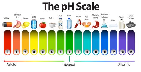 How to make pH indicator test strips – Science Experiments for Kids Ph Indicator, Ph Scale, Ph Water, Powers Of Ten, Baking Soda And Lemon, Water Solutions, Deep Conditioning, Deep Conditioner, Science Fair