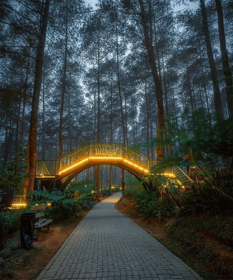 Forest Resort, Resort Design, Cabin In The Woods, Destination Voyage, Beautiful Places To Travel, Walkway, Tree House, Amazing Photography, Beautiful Nature