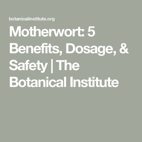 Motherwort: 5 Benefits, Dosage, & Safety | The Botanical Institute Motherwort Benefits, Postpartum Hemorrhage, Thyroid Health, Clinical Research, Cardiovascular Disease, Clinical Trials, Herbal Medicine, Side Effects, Health Benefits