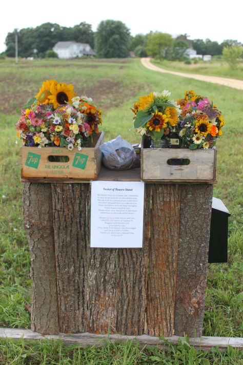 Flower Stands Diy, Roadside Flower Stand, Roadside Stand, Produce Stand, Flower Farming, Vegetable Stand, Cut Flower Farm, Early Spring Flowers, Flowers For Sale