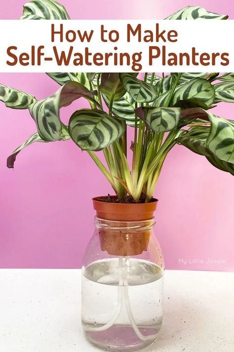 How to Make a Self Watering Planter - My Little Jungle Inside House Plants, Water Plants Indoor, Plants Grown In Water, Garden Landscaping Diy, Self Watering Plants, Indoor Water Garden, Self Watering Pots, Plant Hacks, Inside Plants