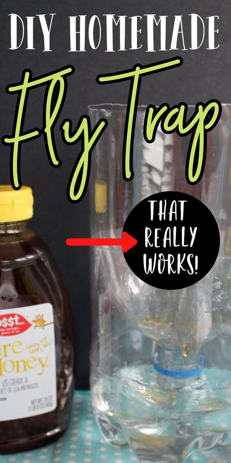 Diy Fly Traps Indoor, How To Make Fly Traps Homemade, Black Fly Trap Diy, Home Made Fly Trap Diy, Homemade Fly Killer, Home Fly Trap, Diy Sticky Fly Trap, Natural Fly Trap Indoors, Dyi Fly Trap