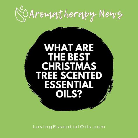 Essential Oil Christmas, Christmas Tree Essential Oil, Spruce Essential Oil, Best Christmas Tree, Christmas Tree Scent, Positive Environment, Essential Oils Kit, Cypress Oil, Pine Essential Oil