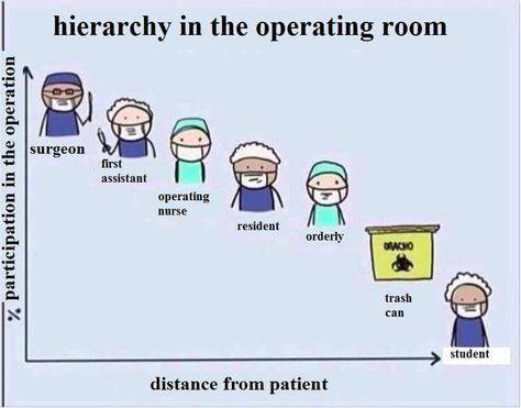 Hierarchy in the operating room Funny Nursing Memes, Operating Room Nurse Humor, Operating Room Humor, Medical Student Humor, Night Shift Humor, Medical Jokes, Coworker Humor, Medical Memes, Operating Room Nurse