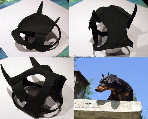 BATDOG Mask Diy Superhero Costume, Winnie Dogs, Animal Photography Dogs, Crusoe The Celebrity Dachshund, Bat Dog, Batman Mask, Batman Costume, Dog Clothes Diy, Dog Mask