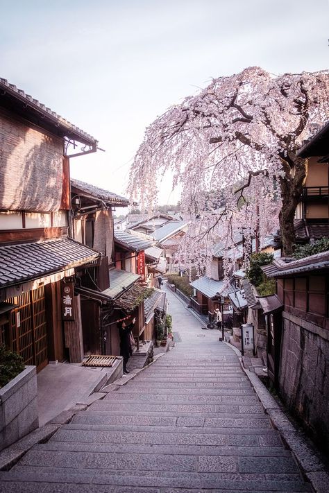 Olympics 2020 Japan PinWire: Sakura in Kyoto in 2019 | Japan | Pinterest | Kyoto japan Kyoto and ... 2 days ago - Sakura tree on an old street of Kyoto Japan World Cities Osaka Japan .... 20120327-1 by Bernard Chan Tokyo City Tokyo Streets Japan Japan Japan...  Source:www.pinterest.com Results By RobinsPost Via Google Japan Spring, Japan Destinations, Japan Street, Japan Photography, Japon Illustration, Japan Aesthetic, Aesthetic Japan, Old Street, Japanese Architecture