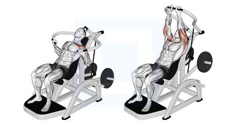 Incline Chest Press, Chest Press, Six Pack Abs Workout, Incline Bench, Chest Muscles, Six Pack Abs, Chest Workouts, Chest Workout, Bench Press