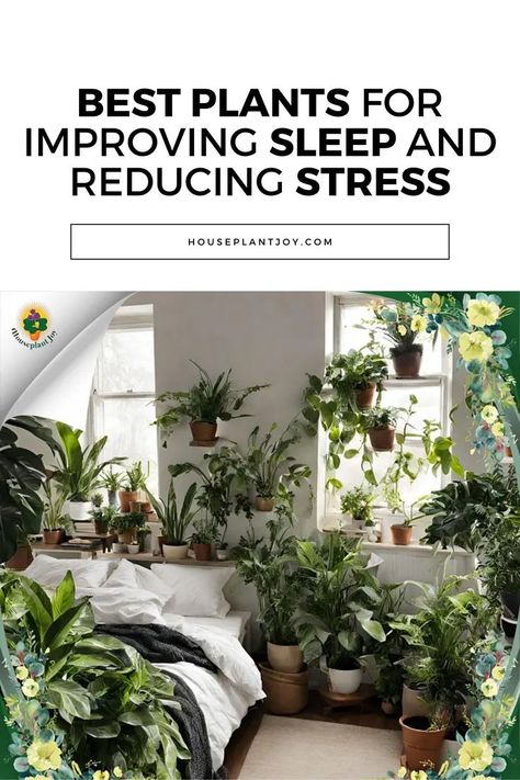 Sweet Dreams Start Here 😴🌿 Want to wake up feeling refreshed? Bring the calming power of nature indoors! Discover how plants like lavender, jasmine, and aloe vera can transform your bedroom into a sleep sanctuary. #sleepbetter #bedroomplants #planttherapy #relaxation #goodnight 🌙🌱 Sleep Sanctuary, Best Plants, Plant Therapy, Bedroom Plants, Power Of Nature, Improve Sleep, Nature Indoors, Cool Plants, Better Sleep