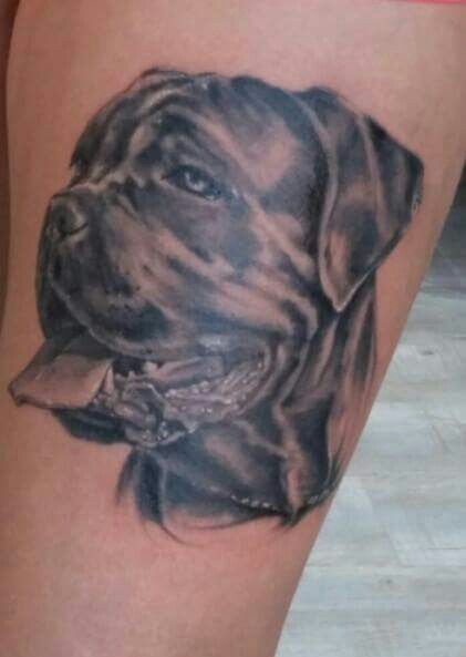 Cane Corso, tattoo. Cane Corso Dog Tattoo, Cane Corso Tattoo, Cane Corso Tattoo Ideas, Cane Corso Silhouette, Cane Corso Non Cropped Ears, Cane Corso Without Cropped Ears, Animal Magazines, Memorial Tattoo, Cane Corso