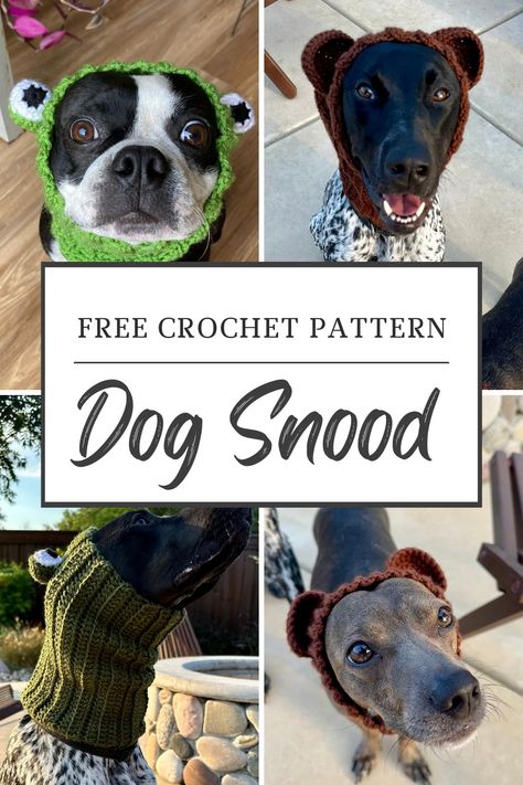 Make a crocheted dog snood for your pet using this FREE crochet pattern! Great for Halloween to be a frog, bear, bunny, unicorn, and more! Dog Beanie Pattern, Crochet Dog Hat Free Pattern, Dog Scarf Crochet, Crochet Dog Sweater Free Pattern, Crochet Pets, Crocheted Dog, Crochet Dog Hat, Crochet Farm Animals, Dog Collar Pattern