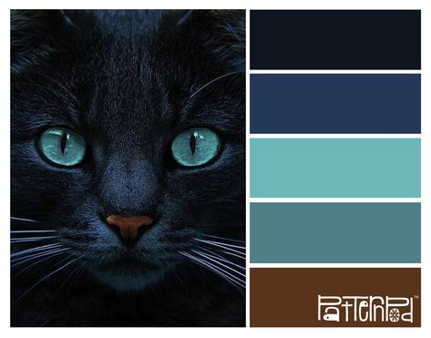 Black cat #patternpod #patternpodcolor #color Black Cat Color Palette, Cat Color Palette, Color Palette For Home, Color Concept, Stunning Hairstyles, Color Schemes Colour Palettes, Color Chip, Pallet Painting, Color Palette Design