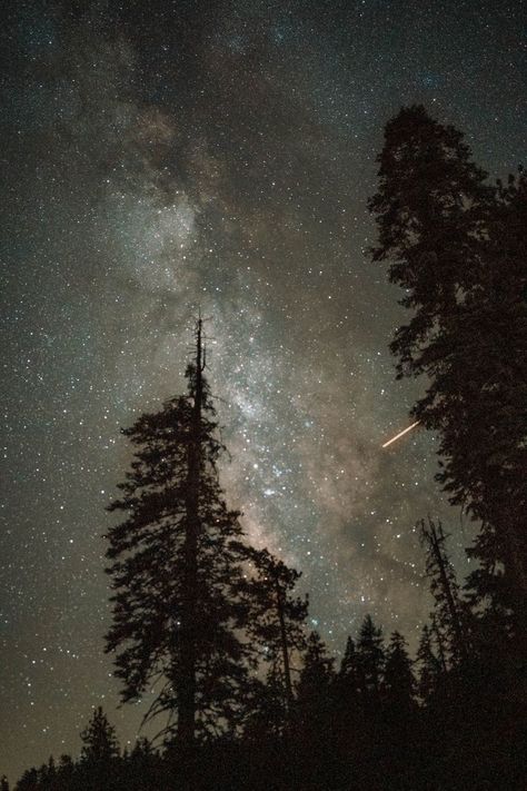 Best nature photography Night Sky Photography, Wonderful Nature, Instagram Background, Sky Full Of Stars, Night Forest, Starry Night Sky, Night Photos, Night Aesthetic, Nature Aesthetic