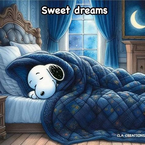 Snoopy Good Night Gif, Snoopy Bedtime, Snoopy Good Night, Good Night Snoopy, Snoopy Sleep, Funny Good Night Pictures, Snoopy Sleeping, Goodnight Snoopy, Goodnight Sleep