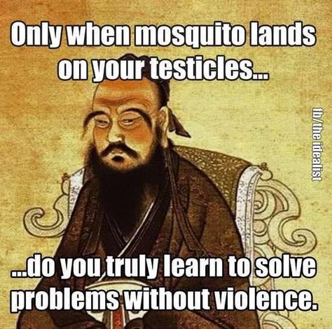 Only when a mosquito lands on your testicles. Confucius Say, Funny True Quotes, Twisted Humor, Sarcastic Quotes, Funny Signs, A Quote, Refrigerator Magnets, Bones Funny, Wisdom Quotes