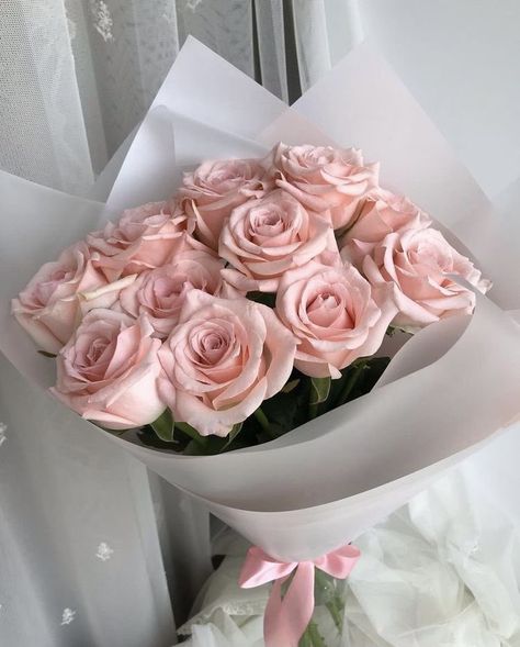 Light Pink Roses Aesthetic Bouquet, Light Pink Roses Aesthetic, Light Pink Rose Bouquet, Cute Flower Arrangements, Light Pink Bouquet, White Flower Background, Monica Murphy, Dior Girl, Pink Rose Bouquet