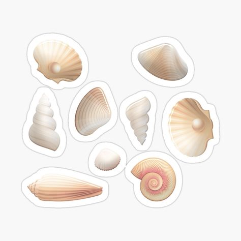 Get my art printed on awesome products. Support me at Redbubble #RBandME: https://www.redbubble.com/i/sticker/Seashells-by-DesignHouse07/71281449.EJUG5?asc=u Kindergarten Coloring, Kindergarten Coloring Pages, Scrapbook Digital, Digital Stickers, Digital Sticker, Sticker Art, Cute Designs, Sea Shells, My Art