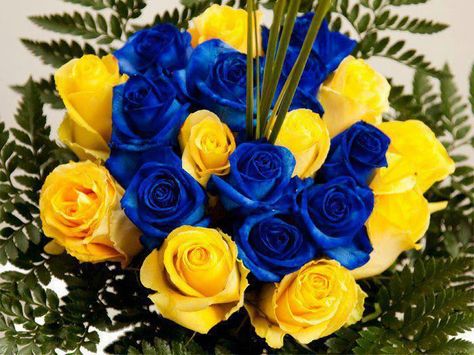 Yellow & Blue Roses. FFA wedding for this girl!!! (: White Floral Decor, Royal Blue Flowers, Banquet Decorations, Bride Flowers, Yellow Wedding, Blue Roses, Bride Bouquets, Yellow And Blue, Blue And Yellow