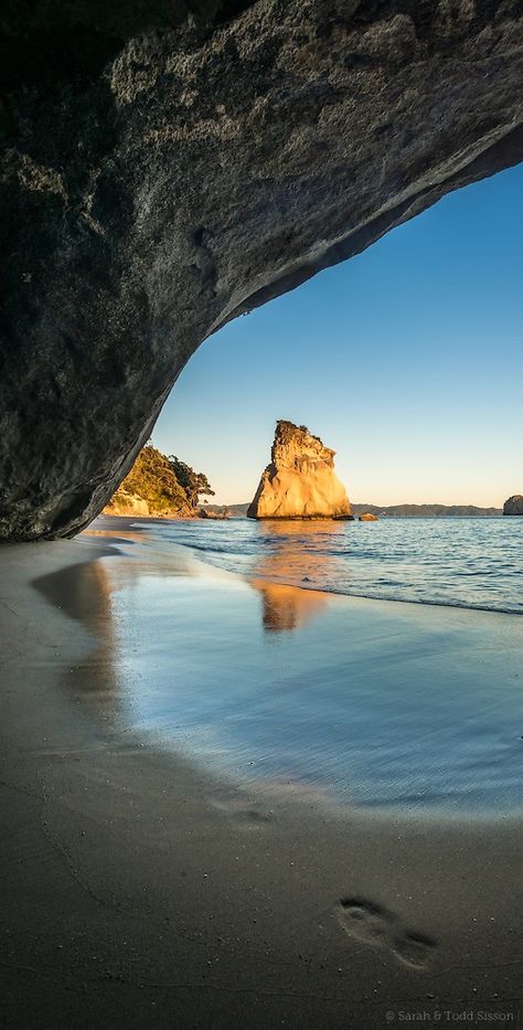 Sunrise, Cathedral, Cove. Coromandel, New Zealand Coromandel New Zealand, New Zealand Aesthetic Wallpaper, Auckland New Zealand Aesthetic, Cathedral Cove, Australia Beach, New Zealand Landscape, Cambodia Travel, New Zealand North, Mysterious Places