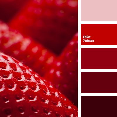 Color Palette #3185 | Color Palette Ideas | Bloglovin’ Flat Bedroom, In Color Balance, Red Palette, Berry Tones, Red Color Palette, Anniversary Cookies, Color Generator, Color Palette Ideas, Red Tone