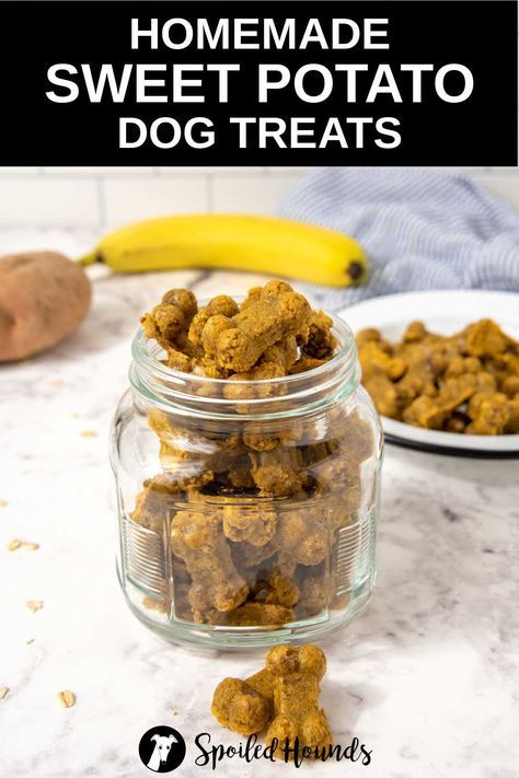 Sweet Potato Dog Treats made with sweet potato, banana, egg, coconut oil, and oat flour. Get the easy recipe and find out how to make the best sweet potato treats for dogs. These crunchy homemade sweet potato dog treats are less expensive than store-bought and have simple ingredients with no preservatives. #dogtreats #homemadedogtreats #diydogtreats Grain Free Sweet Potato Dog Treats, Sweet Potato Dog Treats Homemade, Sweet Potato Treats For Dogs, Sweet Potato Banana, Training Treats For Dogs, Dog Cookie Recipes, Sweet Potato Dog, Sweet Potato Dog Treats, Best Sweet Potato