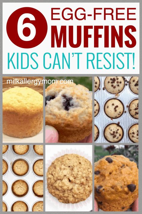 Gluten Dairy Egg Soy Nut Free Breakfast Recipes, Muffin Recipes No Egg, Muffin Recipe No Eggs, Easy Eggless Muffin Recipes, Eggless Muffin Recipes Egg Free, No Egg No Milk Breakfast, Baby Muffins No Egg, No Egg Muffins Recipe, Egg Free Muffin Recipes