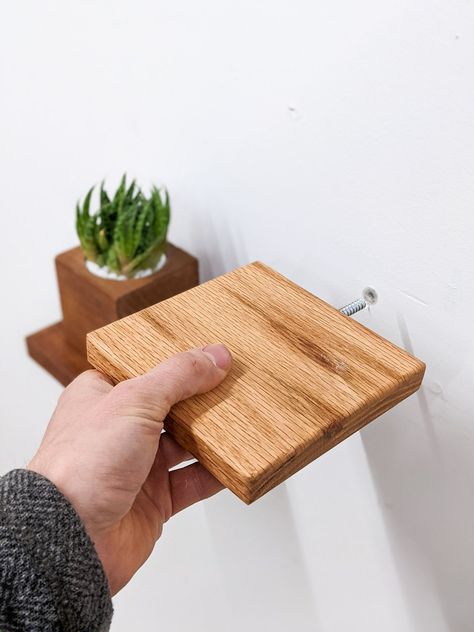 Small Square Floating Shelves in Oak - 3 shelves (discount) / 4 x 4 x 1 3/8 / Oak Square Floating Shelves, Small Wooden Shelf, Craft Beer Shop, Custom Woodworking Projects, Small Wall Shelf, Square Shelf, Minimalist Shelves, Small Indoor Plants, Beer Shop