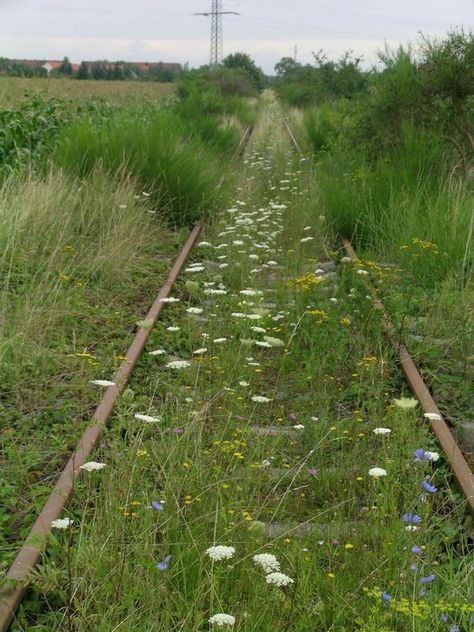 Abandoned Train Tracks, Soft Apocalypse, Abandoned Railroad, Reference Places, Railroad Images, Abandoned Trains, Old Railway, Angel Fire, The Road Not Taken