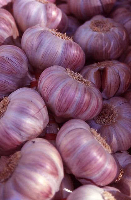 Vegetable Pictures, Garlic Bulb, Beautiful Fruits, Spices And Herbs, Fresh Fruits And Vegetables, Fruit And Veg, Beautiful Food, Fresh Vegetables, Fruits And Veggies