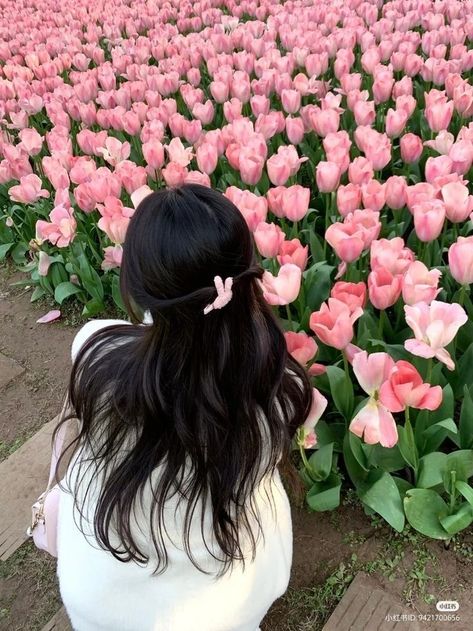 Bella + Core + Aesthetic, Tulip Field Photoshoot, Photoshoot Wallpaper, Tulips Images, Carlsbad Flower Fields, Spring Scenery, Field Photoshoot, Tulip Field, Korean Picture