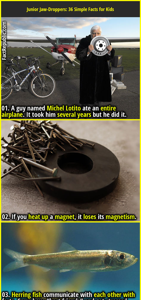 01. A guy named Michel Lotito ate an entire airplane. It took him several years but he did it. Michel Lotito, Fact Republic, Trivia Facts, Facts For Kids, Garage Design, Guy Names, Story Ideas, Interesting Facts, Facts About