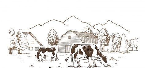 Vector cows graze in the meadow. | Premium Vector #Freepik #vector #farm-sketch #dairy-farm #vintage-farm #cow-farm Gado Leiteiro, Farm Drawing, Cow Sketch, Cow Logo, Cattle Farm, Cow Illustration, Cartoon Cow, Farm Cow