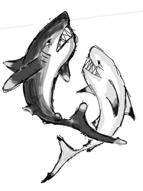 Oceanic whitetip shark and reef blacktip shark sketch for shark backpiece tattoo Whitetip Shark, Blacktip Shark, Shark Sketch, Backpiece Tattoo, Shark Tattoo, Reef Shark, Shark Tattoos, Drawing Base, Sketch