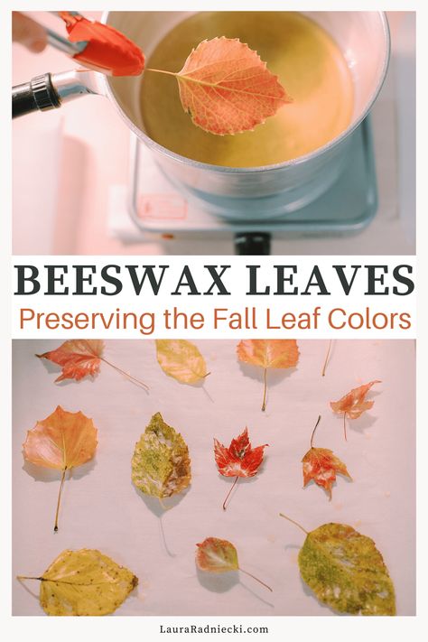 Preserve Fall Leaves, Autumn Eyfs Activities, Thanksgiving Crafts Decorations, Leaf Projects, Autumn Leaf Color, Holiday Tips, Diy Fall Wreath, Thanksgiving Traditions, Autumn Decorating