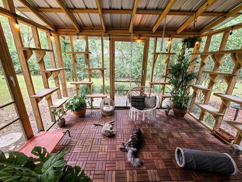 Kandang Hamster, Cat House Design, Cat House Outdoor, Catio Plans, Cat Room Decor, Catio Ideas, Cat Patio, Ideas For Cats, Outdoor Cat Enclosure