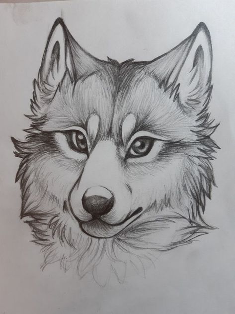 "Unlock the Secrets of Realistic Drawing 🗝️🎨 Enhance Your Artistic Skills!" (Follow This Link) Cute Wolf Drawing Easy, Cute Animal Sketches Easy, Animal Sketches Realistic, Sketches Wolf, Wolf Drawing Easy, Animal Sketches Easy, Easy Pencil Drawings, Drawing Dragon, Cute Wolf Drawings