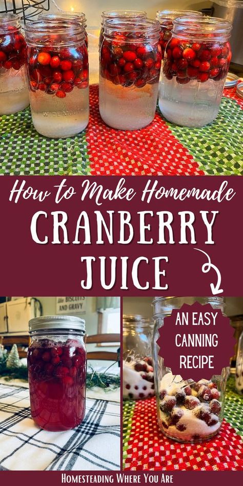 Cranberry juice is a must-have in your canning pantry. This is one of my easiest water bath canning recipes. In this article, I explain two (really three) ways to can cranberry juice at home. Canning Cranberry Juice, Winter Canning, Canning Cranberry, Cranberry Grape Juice, Canning Pantry, Water Bath Canning Recipes, Canning Apples, Self Sufficient Living, Canned Cranberries